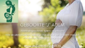 Geboorte J Adem